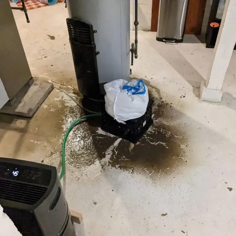 Sewage Backup Cleanup Service in Saint Joseph, MO